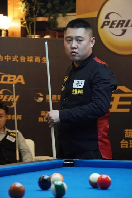 术多样性的 术多样性的