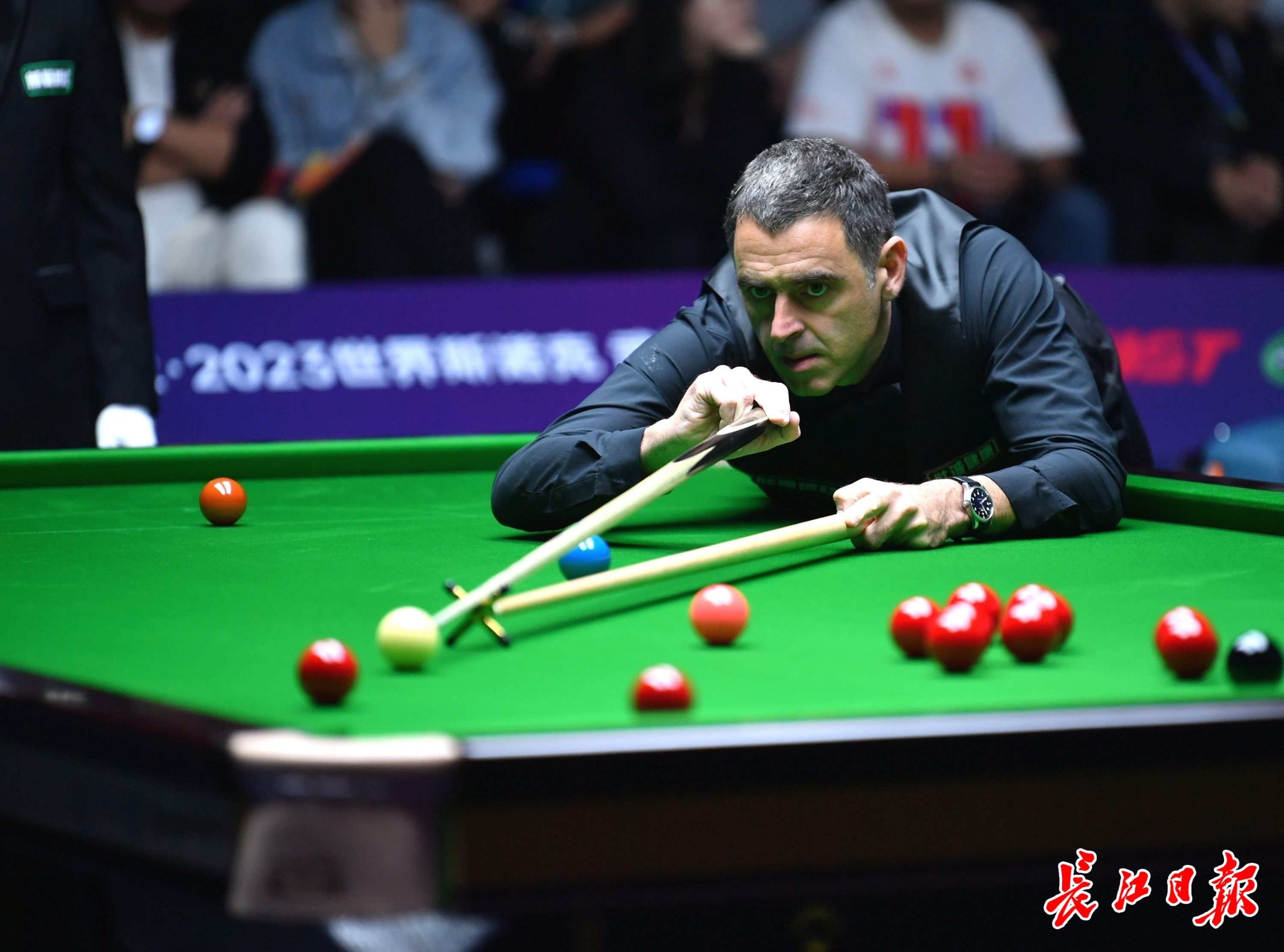 道的答案 道的答案